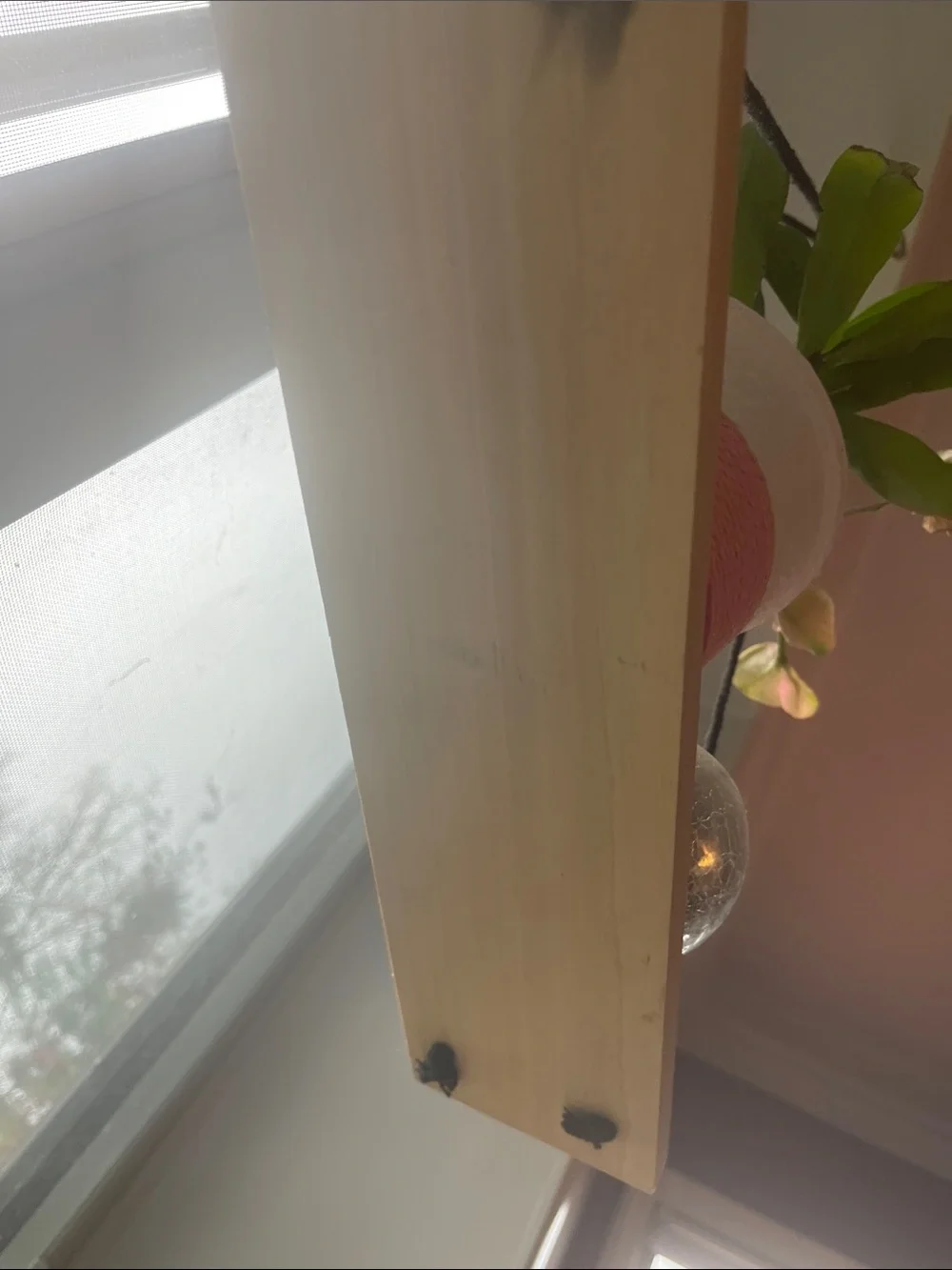 Hanging Wall Display Shelf in Natural Wood with Black Rope, stain or paint